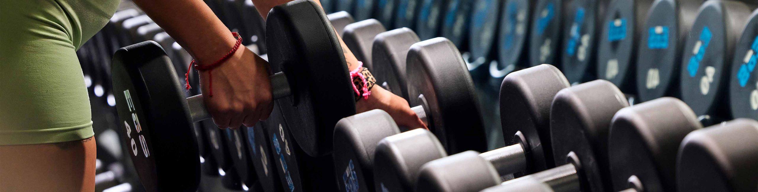 Close-up of a hand grabbing a dumbbell from a rack with several others lined up